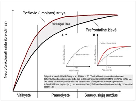 Scheminis endometriozės pažeidimų pavaizdavimas