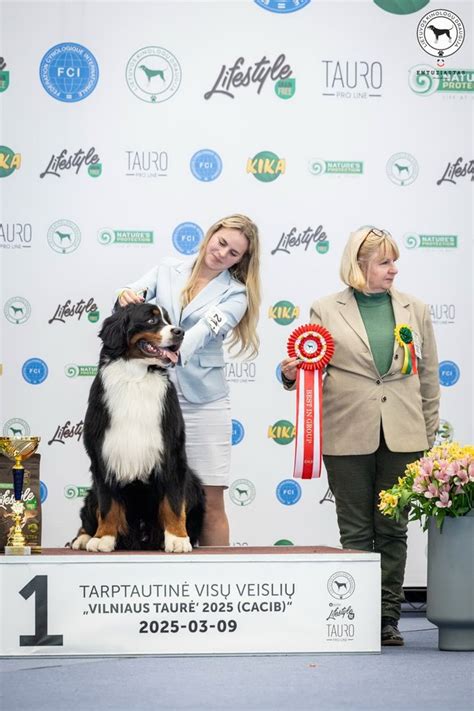 Teisėjai šunų parodoje vertina veisles