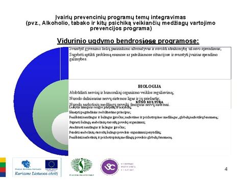 Prevencinių programų (pvz., Olweus) efektyvumo diagrama