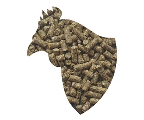 subalansuotas vištų lesalas