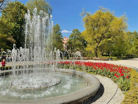 Bernardinų sodas po rekonstrukcijos su gėlynais ir fontanais