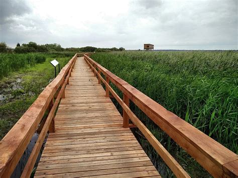 Žuvinto biosferos rezervato pažintinis takas