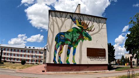 Gatvės meno kūrinys Alytuje