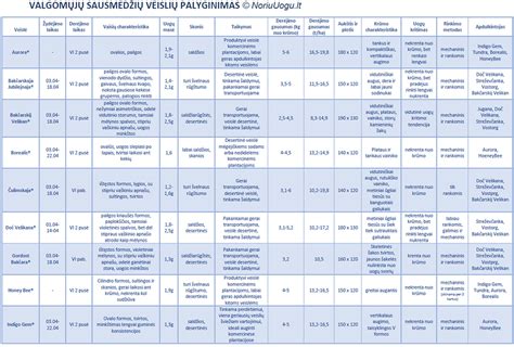 palyginamoji lentelė su ausinių techninėmis charakteristikomis