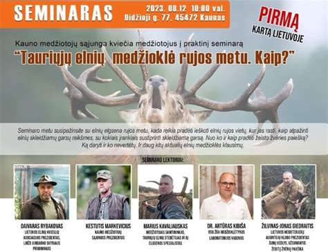 Avys rujos metu