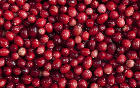 Spanguolių ekstrakto nauda šlapimo takams