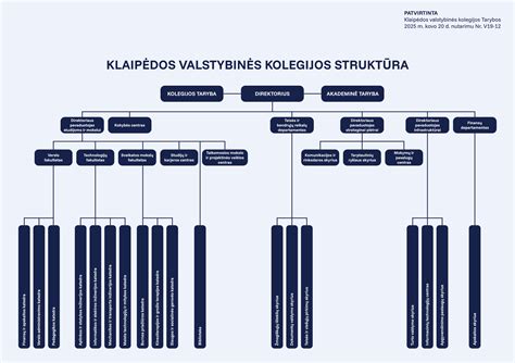 Intelektinio vystymosi schema