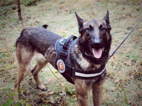 Nuotrauka su ištiestomis rankomis, simbolizuojančios pagalbą ir paramą