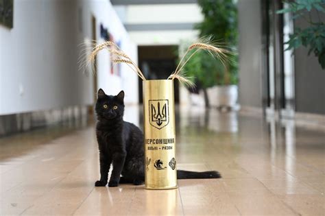 jaukus kačiukas sode