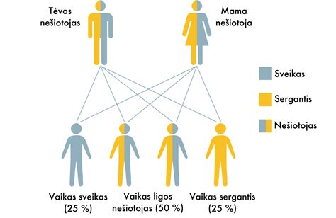simptomų atpažinimo schema
