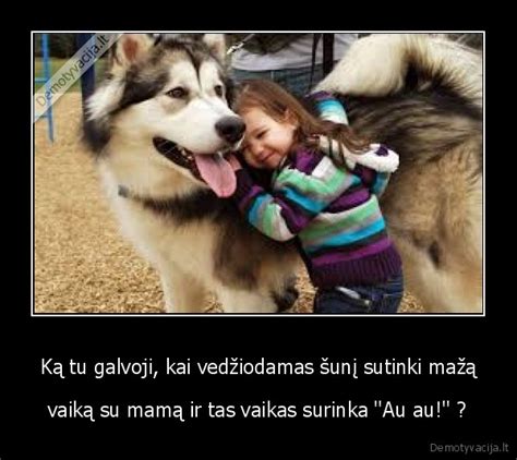 Vaikas atsargiai stebi šunį
