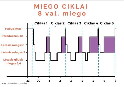 kūdikių miego ciklai ir raidos etapai
