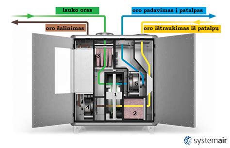 schematinis plaučių veikimo principas astmos metu