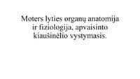 moters gimdos anatomija