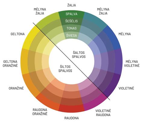 spalvų ratas ir vaikiški piešiniai