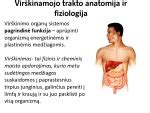 Virškinamojo trakto anatomija ir dažniausios ligų vietos