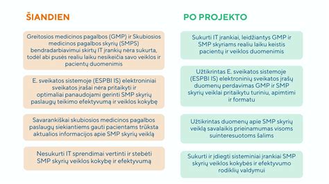 Savanorių pagalbos procesas
