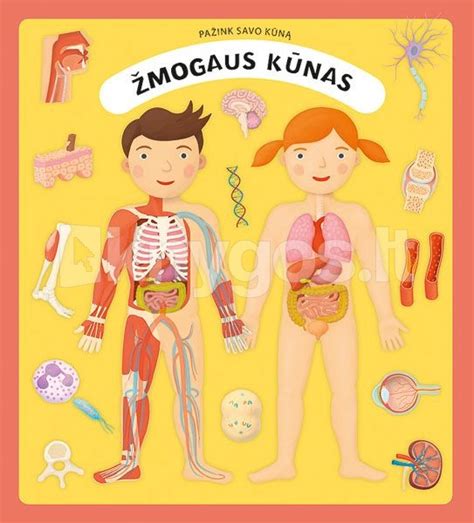 Interaktyvi knyga apie žmogaus kūną vaikams