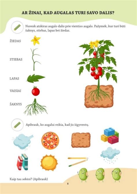 Infografika: augalų nauda vaikams ir patalpų orui