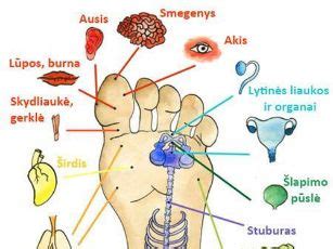Nėščiosios su niežuliu delnuose ir pėdose