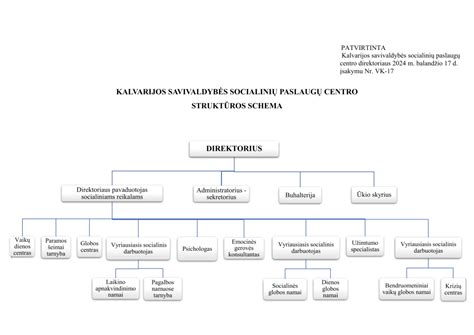 socialinių paslaugų schema