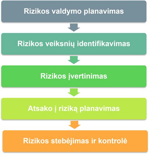 Rizikos veiksnių diagrama: II tipo diabetas vaikams