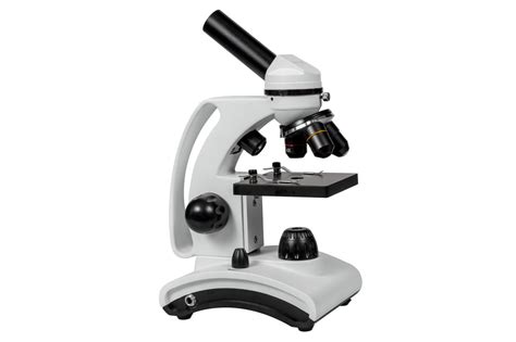 IVF laboratorijos darbas: mikroskopas ir inkubatorius