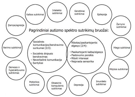 infografikas apie autizmo spektro ypatumus ir pagrindinius požymius