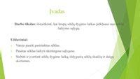 Bananų sėklų dygimo procesas vazonėlyje