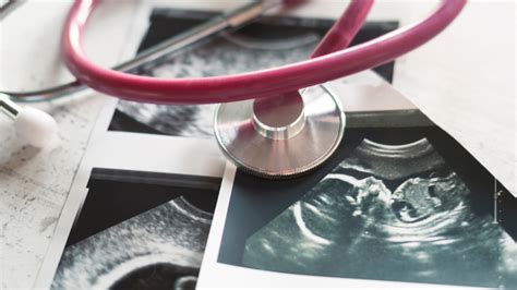 Šuns nėštumo diagnostika ultragarsu