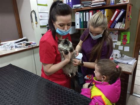 nuotrauka su besilaukiančia kalyte ir veterinarijos gydytoju