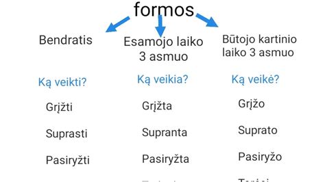 Drakono portreto eskizas: galvos pagrindinės formos