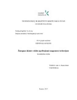 Žmogaus veiklos apribojimai nedarbingumo metu