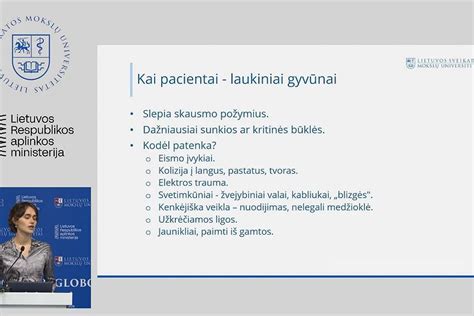 Laukinių gyvūnų globos centro veiklos schema
