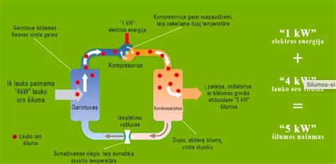 schema: kaip veikia kaljanas ir kodėl vanduo nefiltruoja toksinų