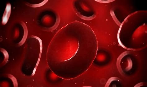Raudonieji kraujo kūneliai su hemoglobinu perneša deguonį