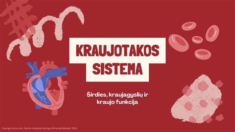 Infografika apie kraujotakos pagerėjimą stovint ant galvos
