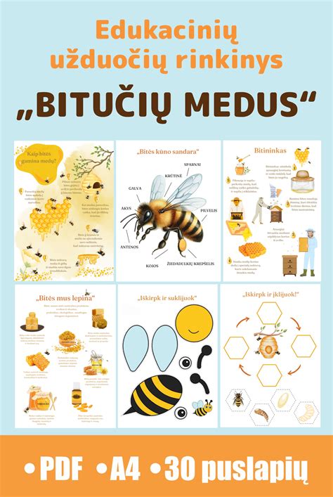 Vaikų edukacinių užduočių PDF rinkinys
