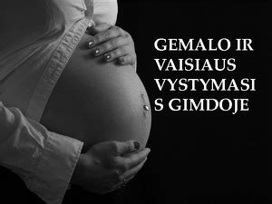 Vaisiaus vystymasis gimdoje
