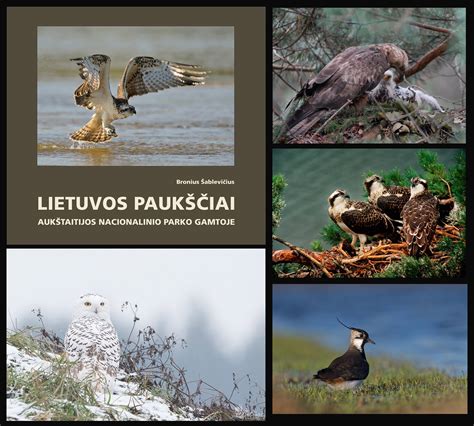 egzotiški paukščiai ir jų kiaušiniai gamtoje