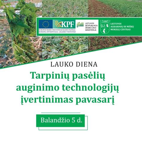 lauko darbai ir pasėlių priežiūra