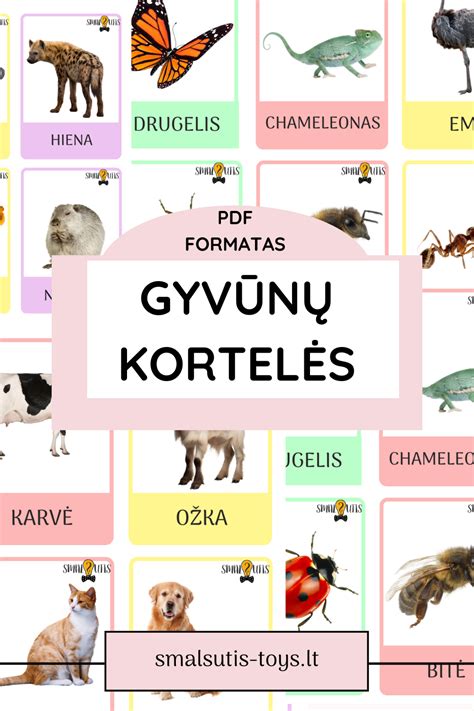 kortelės su gyvūnų nuotraukomis