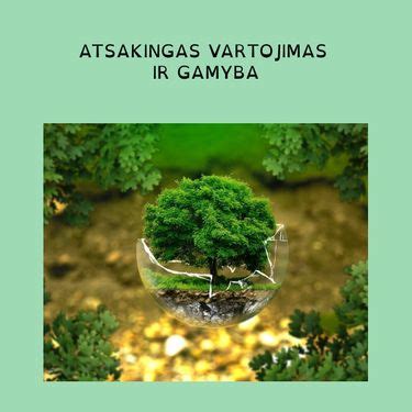 Atsakingas vartojimas ir rūšiavimas
