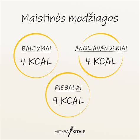 Maistinės medžiagos kiaušinyje