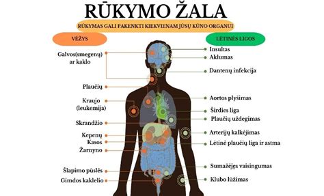 infografika apie rūkymo žalą vaisiui ir vaisingumui