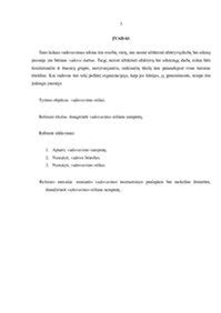 Theresos May vadovavimo kabinete iliustracija