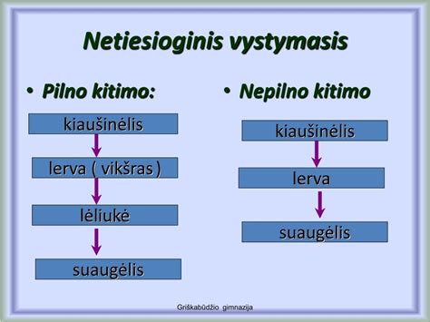 Vabzdžių pilno ir nepilno kitimo palyginimas