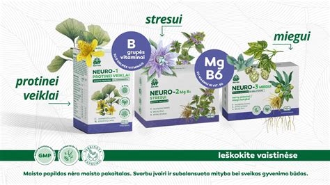 vaistažolių arbatos nėštumo metu
