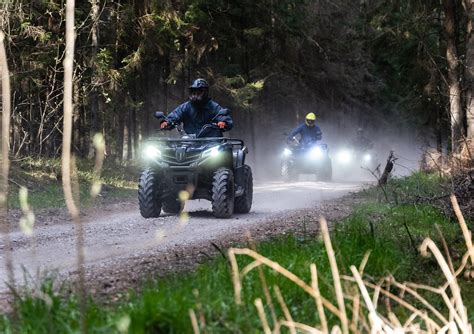 schematinis keturračių kategorijų vaizdavimas