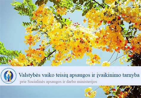 Vaiko teisių apsaugos tarnybos atstovas Gedas Batulevičius